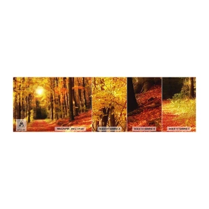 Échantillon de Papier Peint Autocollant Deluxe Sticker - Automne doré sur une route forestière - Automne, Forêt, Paysage - 100x30 cm