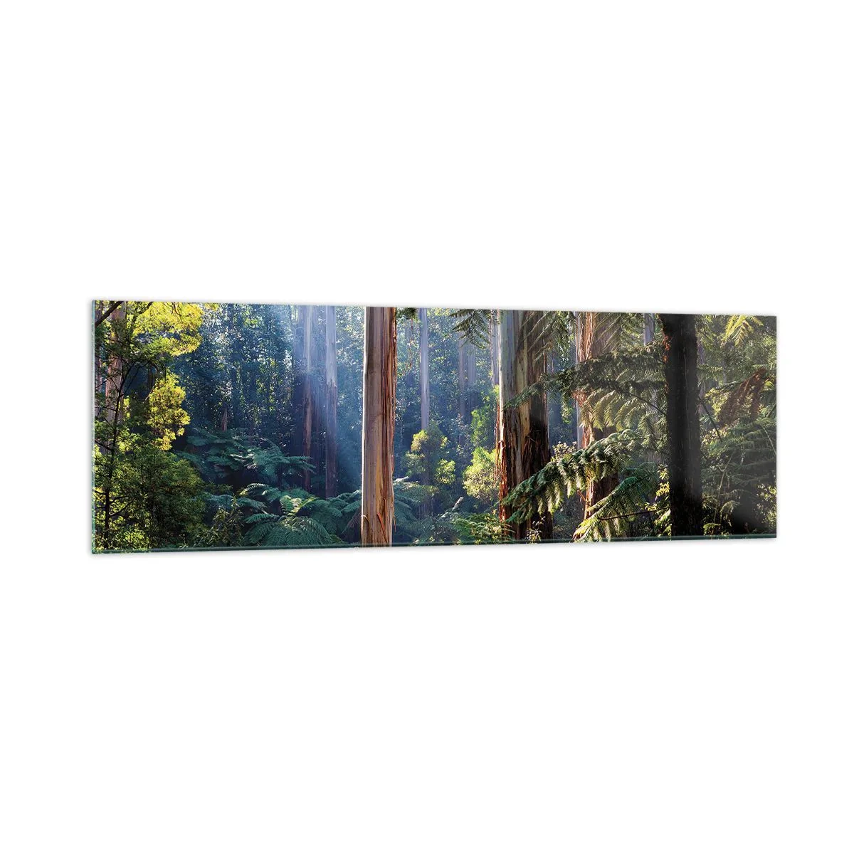 Impression sur verre - Image sur verre - Forêt tropicale illuminée par les rayons du soleil - 160x50cm - Fable de la forêt - Décoration murale moderne pour le salon et la chambre ARTTOR