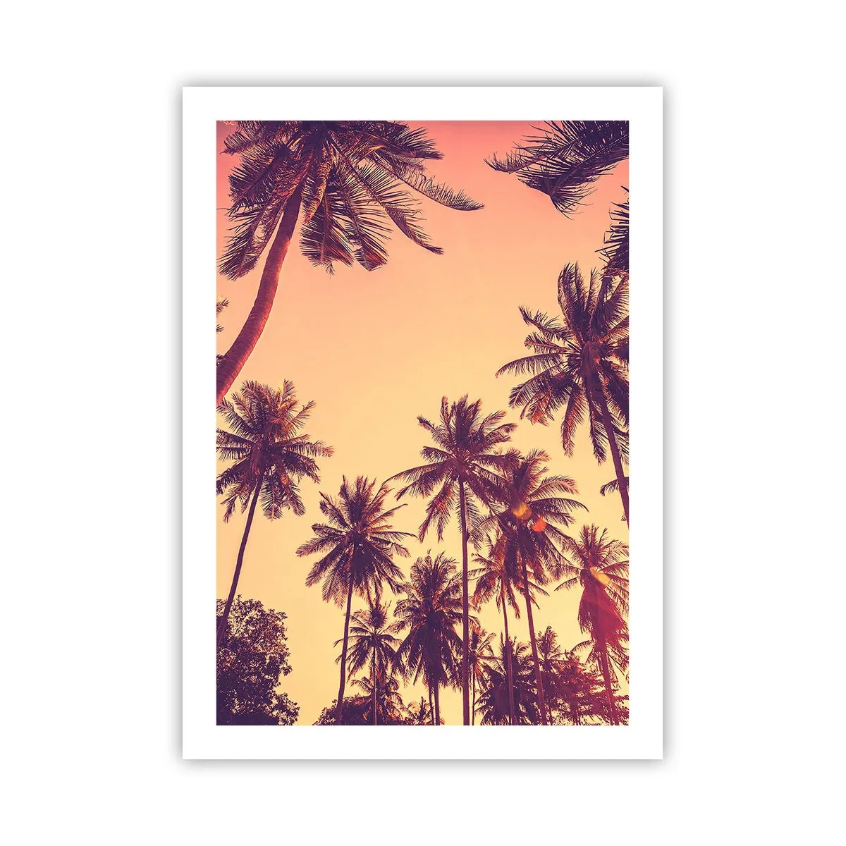 Affiche - Poster - Palmiers aux couleurs chaudes du coucher de soleil - 50x70cm - Variation tropicale - Décoration murale moderne pour le salon et la chambre ARTTOR