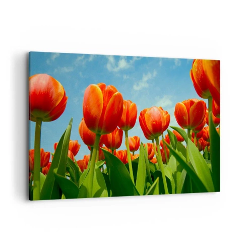 Impression sur toile - Image sur toile - Un champ de tulipes rouges et oranges contre un ciel bleu - 120x80cm - A part le ciel bleu, ils n'ont besoin de rien dans leur vie - Décoration murale moderne pour le salon et la chambre ARTTOR