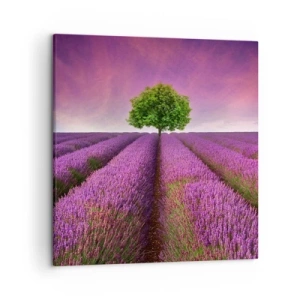 Impression sur toile - Image sur toile - Dans un champs de lavande - 50x50 cm
