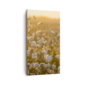 Impression sur toile - Image sur toile - Champ moelleux - 45x80 cm