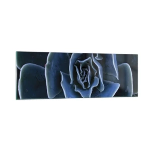 Impression sur verre - Image sur verre - Fleur du désert - 90x30 cm