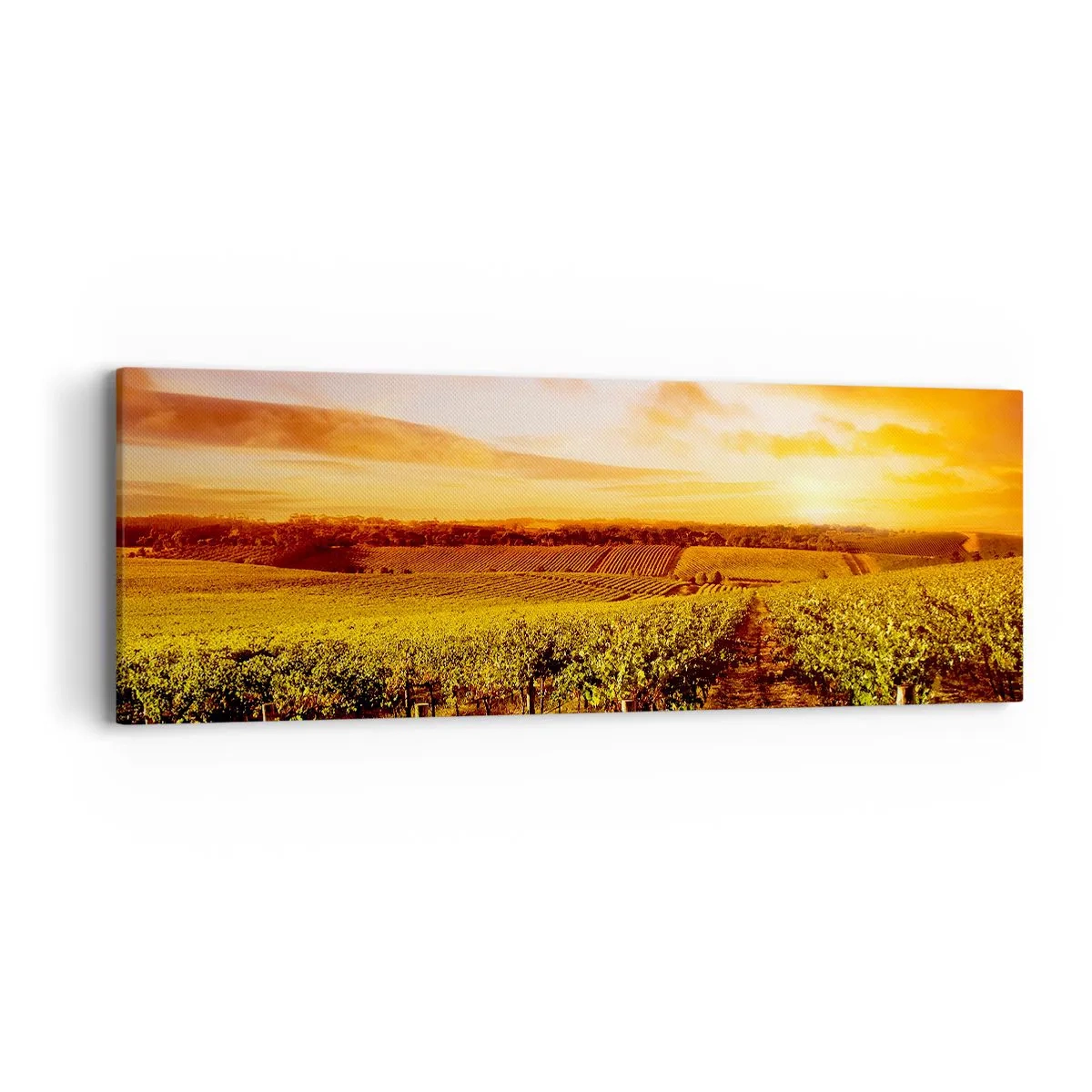 Impression sur toile - Image sur toile - Légèrement fruité avec une pointe de soleil - 90x30 cm