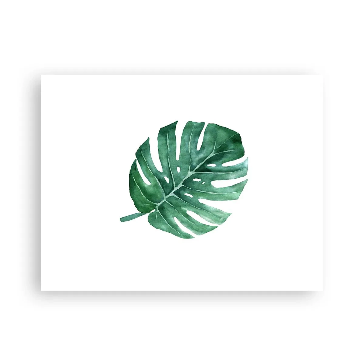 Affiche - Poster - Concept vert - 40x30 cm