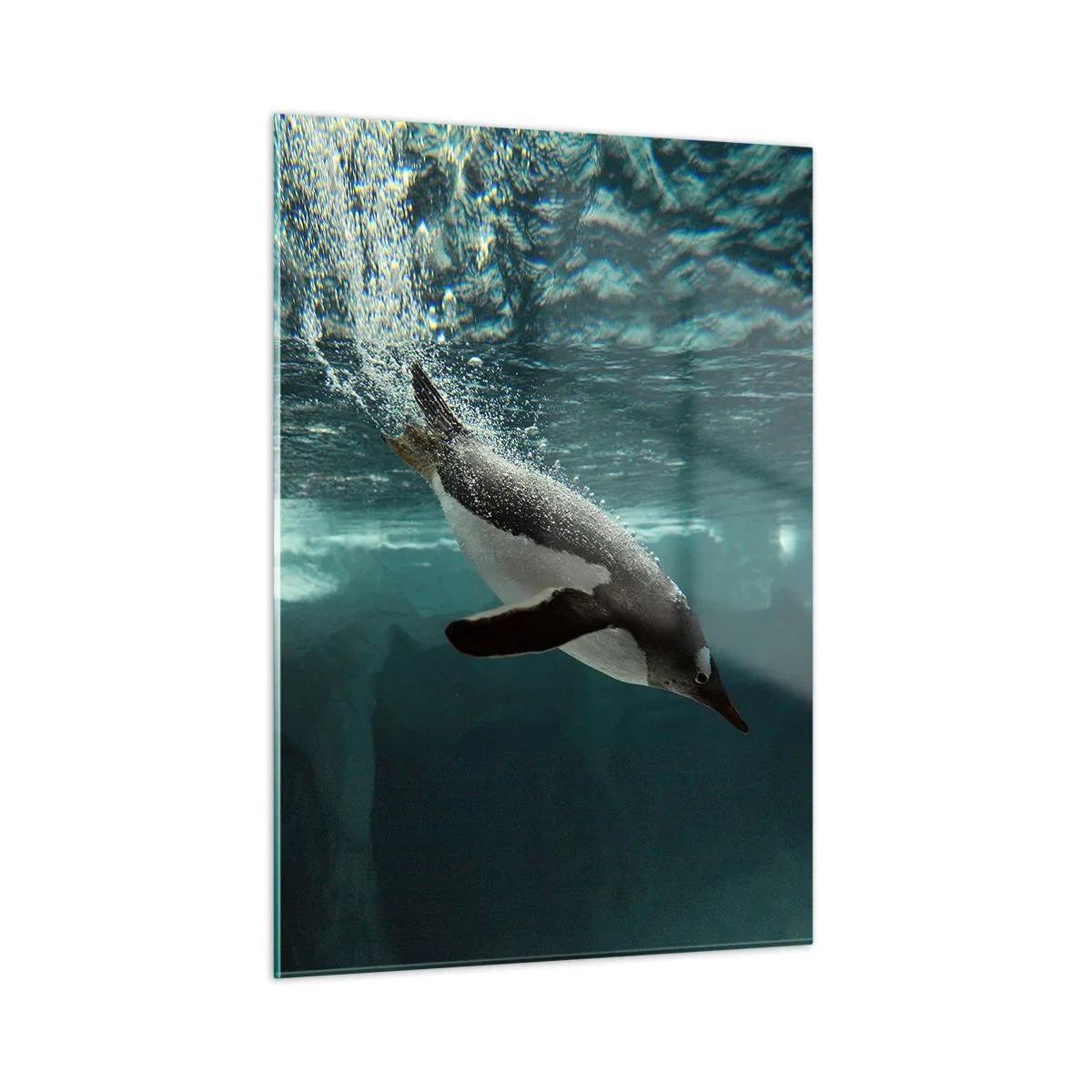 Impression sur verre - Image sur verre - Pingouin sous l'eau - 50x70cm - Bienvenue dans mon monde - Décoration murale moderne pour le salon et la chambre ARTTOR