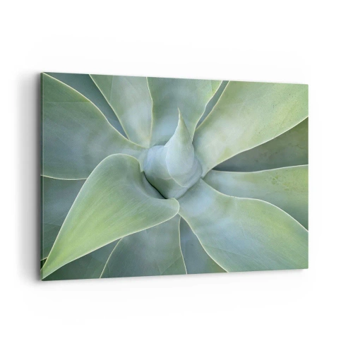 Impression sur toile - Image sur toile - Feuilles d'agave subtiles dans des tons verts - 100x70cm - La naissance de la verdure - Décoration murale moderne pour le salon et la chambre ARTTOR
