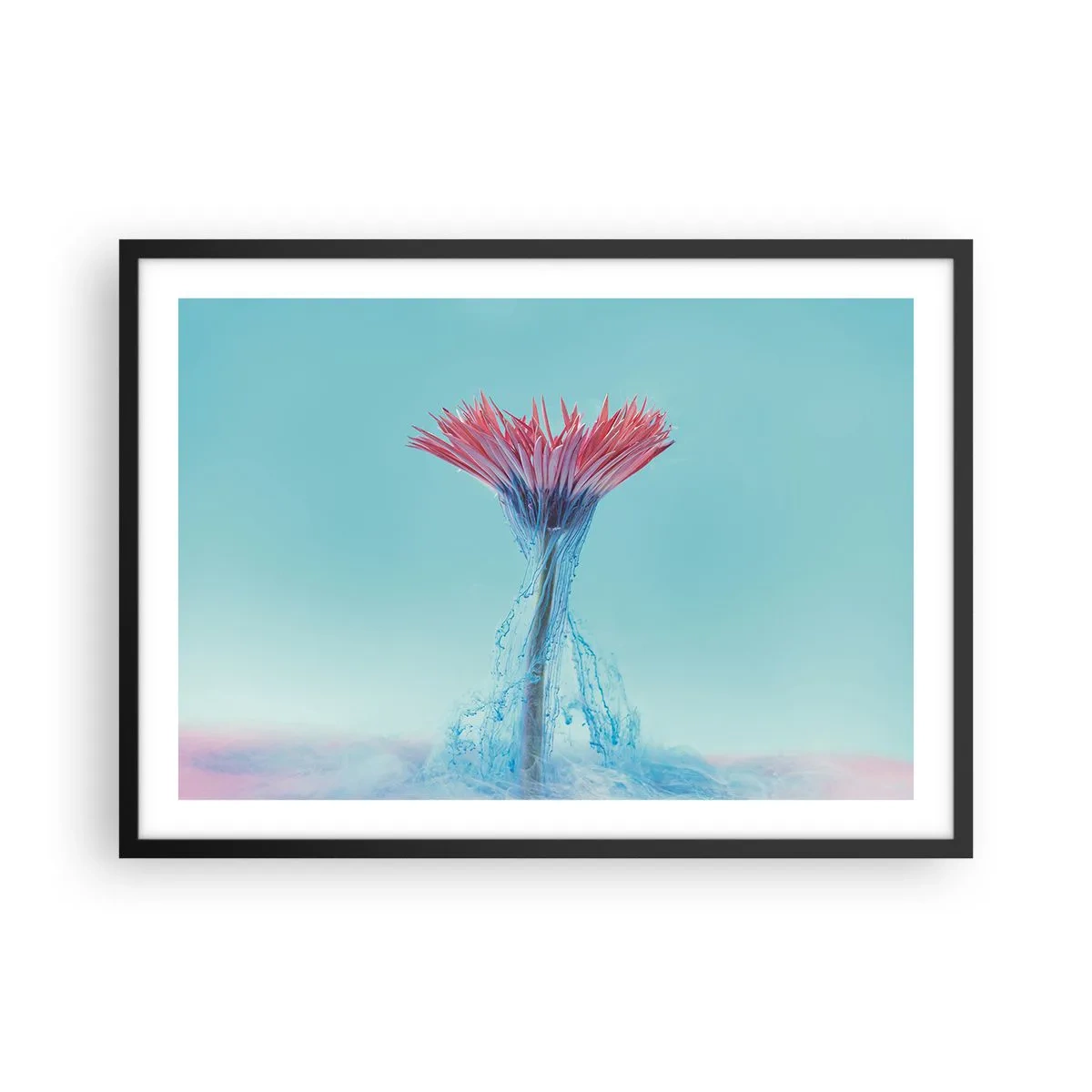 Affiche dans un cadre noir - Poster - Une fleur rose et bleue dans un arrangement artistique sur un fond pastel - 70x50cm - Dans une étreinte vivifiante - Décoration murale moderne pour le salon et la chambre ARTTOR