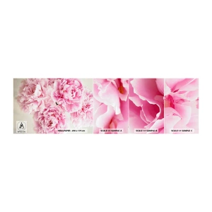 Échantillon de Papier Peint Autocollant Deluxe Sticker - En glamour rose - Pivoines, Bouquet de fleurs, Fleurs - 100x30 cm