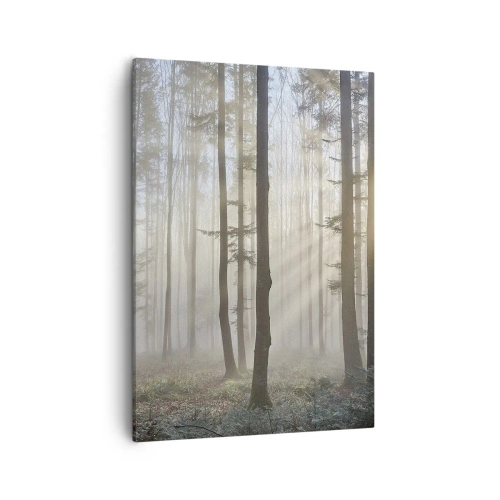 Impression sur toile - Image sur toile - Une forêt dans un léger brouillard avec des rayons de soleil qui brillent à travers les arbres - 50x70cm - Le brouillard s'est aussi réveillé - Décoration murale moderne pour le salon et la chambre ARTTOR