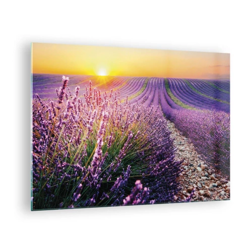 Impression sur verre - Image sur verre - Champ de lavande au lever du soleil avec un chemin rocailleux - 70x50cm - Tige parfumée - Décoration murale moderne pour le salon et la chambre ARTTOR