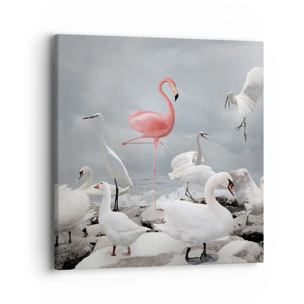 Impression sur toile - Image sur toile - Comment suis-je arrivé là? - 40x40 cm