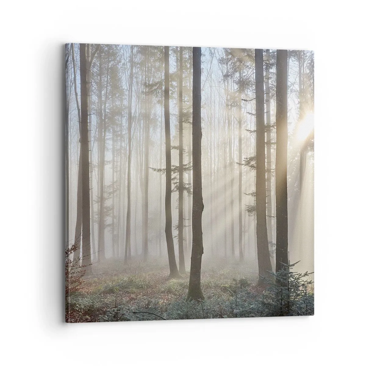 Impression sur toile - Image sur toile - Le brouillard s'est aussi réveillé - 70x70 cm