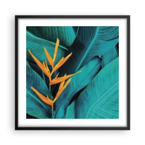 Affiche dans un cadre noir - Poster - Fleur d'Eden - 50x50 cm