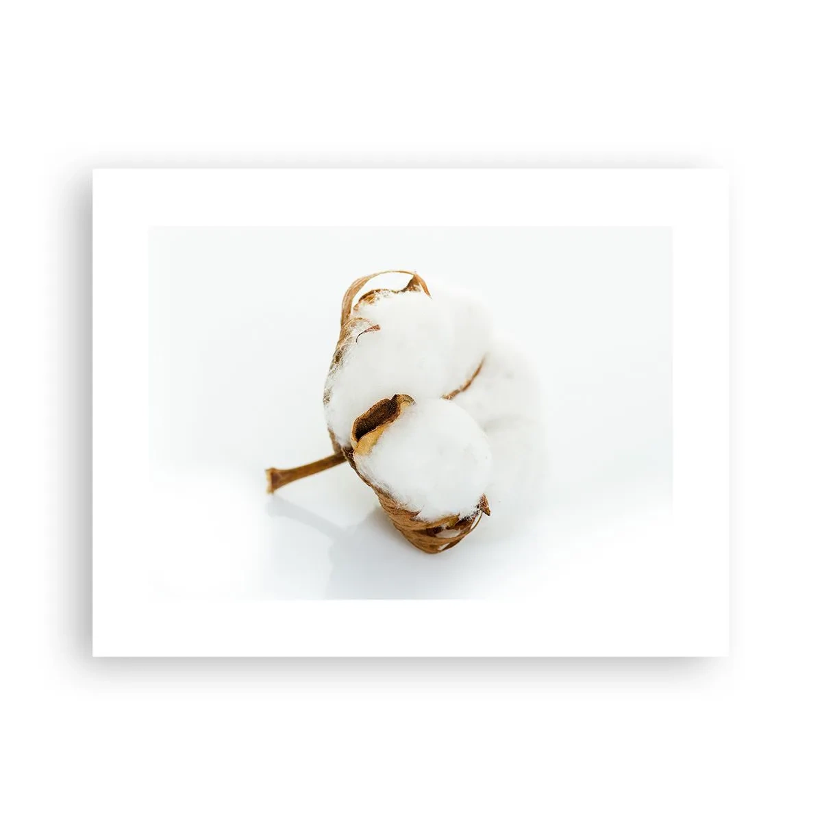 Affiche - Poster - Doux par nature - 40x30 cm