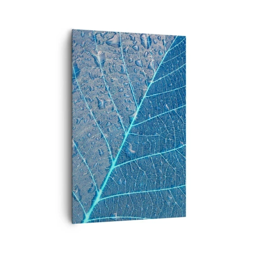 Impression sur toile - Image sur toile - Une feuille dans des tons bleus avec des gouttes d'eau - 80x120cm - La vie en bleu - Décoration murale moderne pour le salon et la chambre ARTTOR