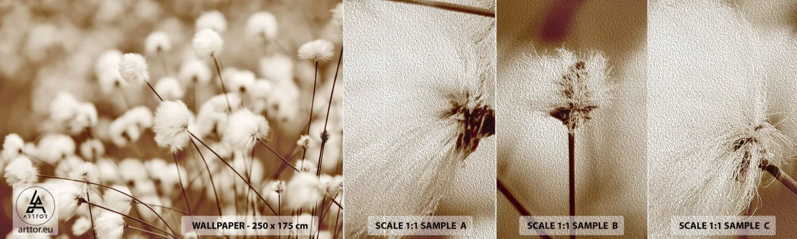 Échantillon de Papier Peint Premium Sand - Tige moelleuse - Fleur de coton, Fleur, Brindille de coton - 100x30 cm