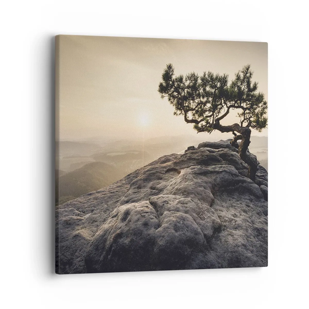 Impression sur toile - Image sur toile - La vie gagne toujours - 40x40 cm