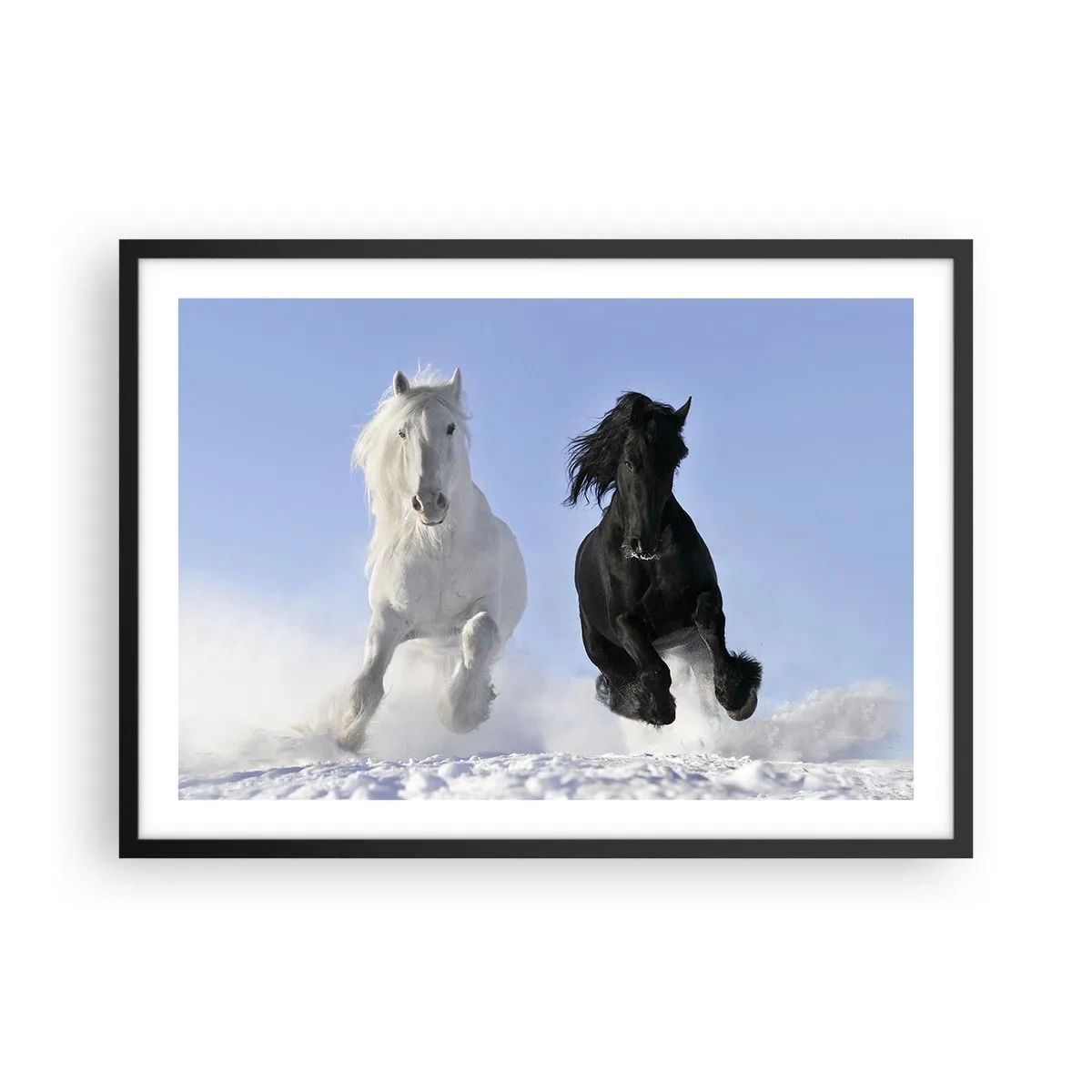 Affiche dans un cadre noir - Poster - Un cheval blanc et un cheval noir galopant dans la neige - 70x50cm - Galop noir et blanc - Décoration murale moderne pour le salon et la chambre ARTTOR