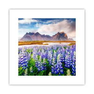 Affiche - Poster - La force et l'austérité côtoient la douceur - 30x30 cm