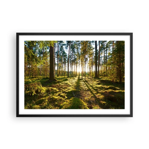 Affiche dans un cadre noir - Poster - Forêt verte illuminée par la lumière du soleil sur la mousse - 70x50cm - … Derrière les sept forêts - Décoration murale moderne pour le salon et la chambre ARTTOR