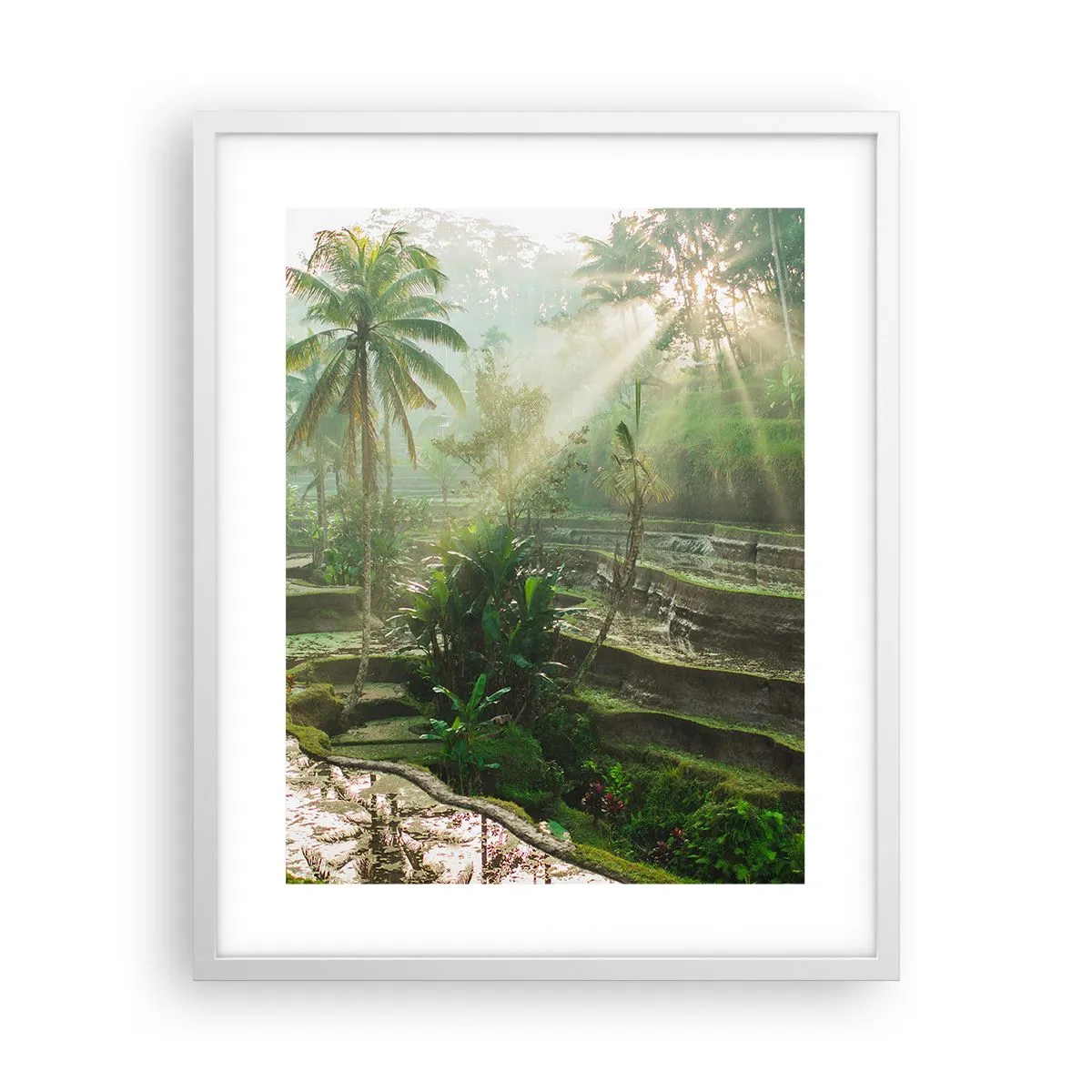 Affiche dans un cadre blanc - Poster - Grandir au soleil - 40x50 cm