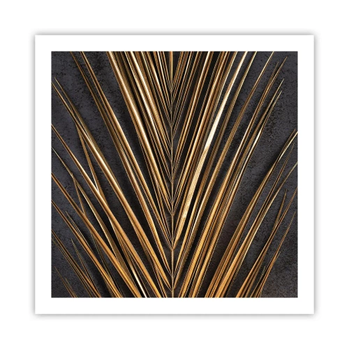 Affiche - Poster - L'or des tropiques - 60x60 cm