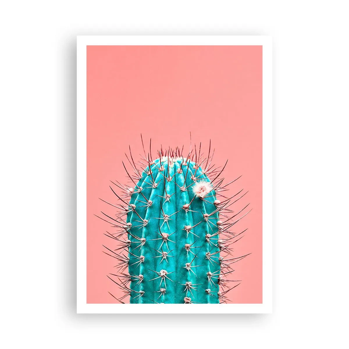 Affiche - Poster - Juste regarde - 70x100 cm