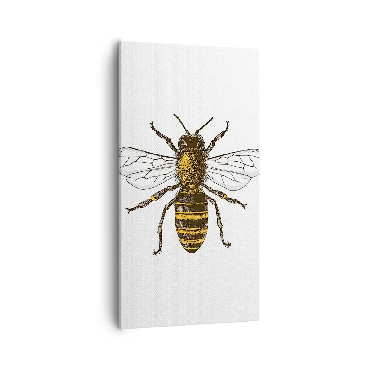 Impression sur toile - Image sur toile - Belle et bonne - 55x100 cm