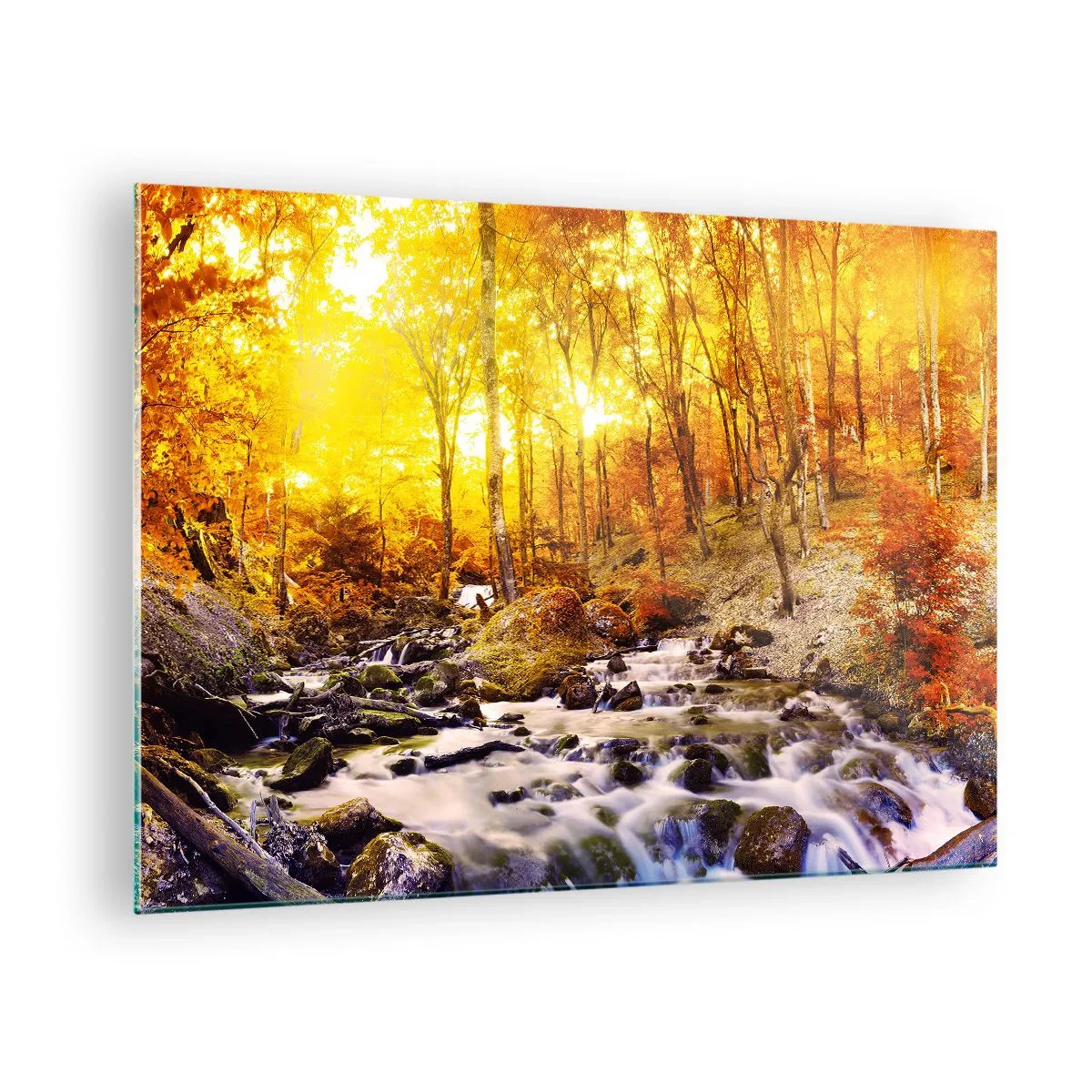 Impression sur verre - Image sur verre - Forêt d'automne avec une rivière dans les rayons de lumière chaude - 70x50cm - Pierres serties d'or et de platine - Décoration murale moderne pour le salon et la chambre ARTTOR