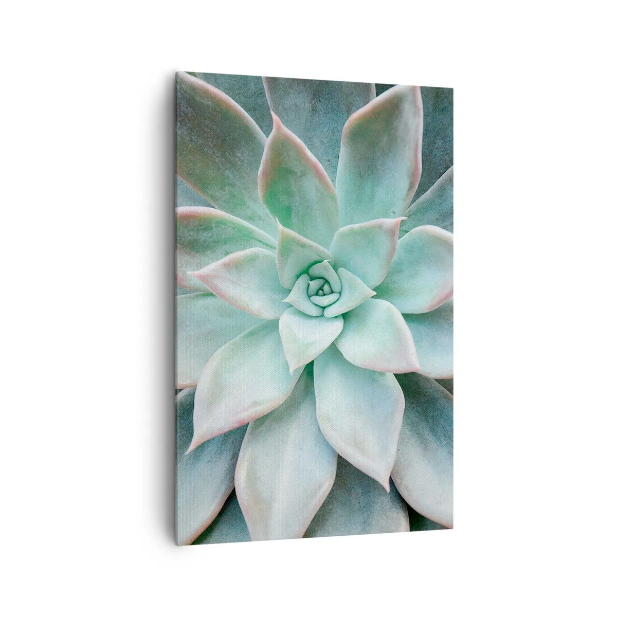 Impression sur toile - Image sur toile - Gros plan d'une succulente verte - 80x120cm - Le coeur du désert - Décoration murale moderne pour le salon et la chambre ARTTOR