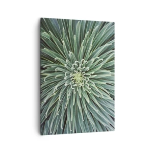 Impression sur toile - Image sur toile - Disposition symétrique de feuilles vertes ressemblant à une étoile - 50x70cm - Naissance d'une étoile - Décoration murale moderne pour le salon et la chambre ARTTOR