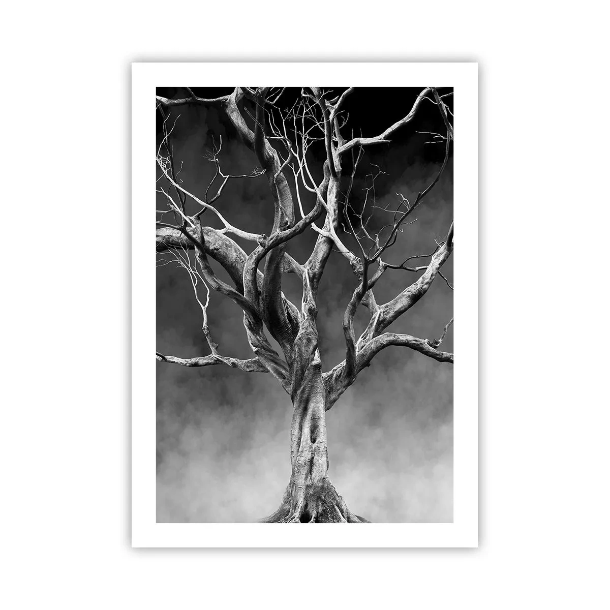 Affiche - Poster - Image en noir et blanc d'un arbre sur fond de brouillard - 50x70cm - Primordial et sacré - Décoration murale moderne pour le salon et la chambre ARTTOR