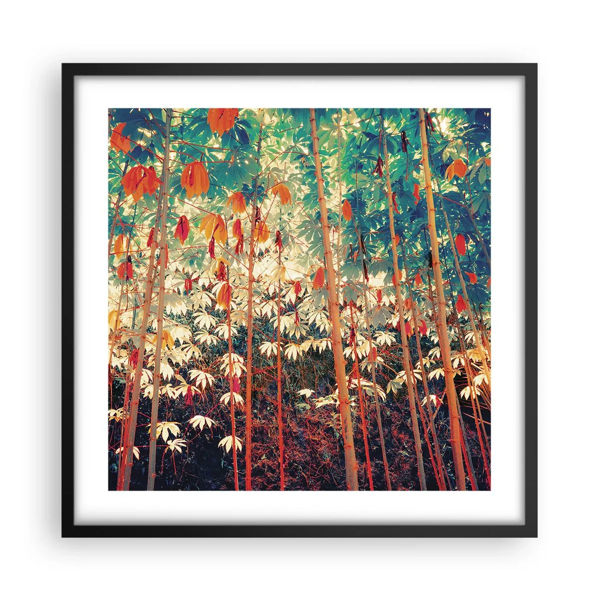 Affiche dans un cadre noir - Poster - La vie secrète des feuilles - 50x50 cm