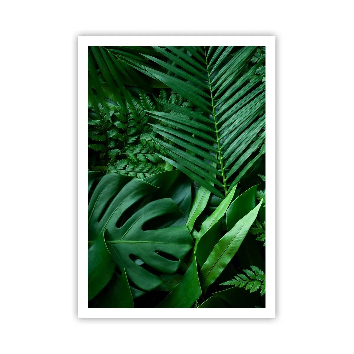 Affiche - Poster - Emmitouflé de verdure - 70x100 cm