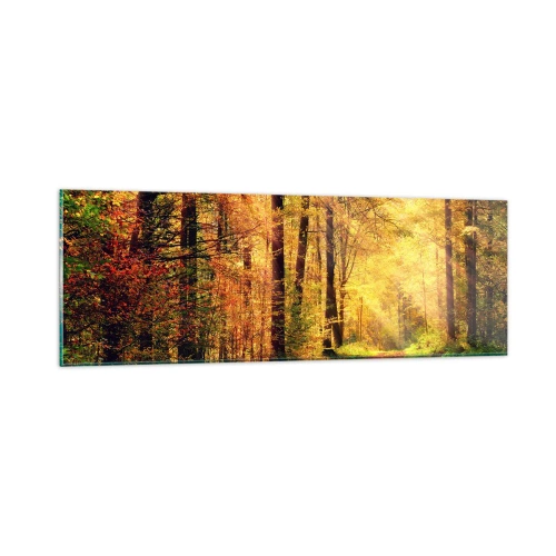Impression sur verre - Image sur verre - Silence d'or en forêt - 90x30 cm