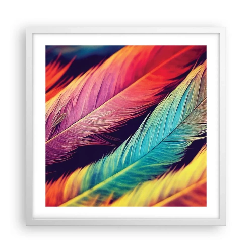 Affiche dans un cadre blanc - Poster - Arc-en-ciel de plumes - 50x50 cm