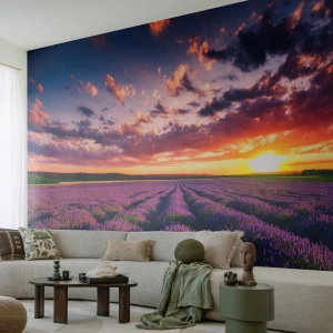 Papier Peint Photo Premium Sand - Champ de lavande au coucher du soleil - 100x70cm - Monde de lavande - Décoration murale moderne pour le salon et la chambre ARTTOR