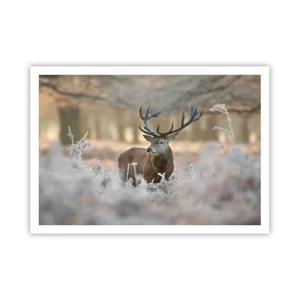 Affiche - Poster - Un cerf dans une clairière givrée dans une forêt hivernale aux couleurs subtiles - 100x70cm - Une matinée animée - Décoration murale moderne pour le salon et la chambre ARTTOR