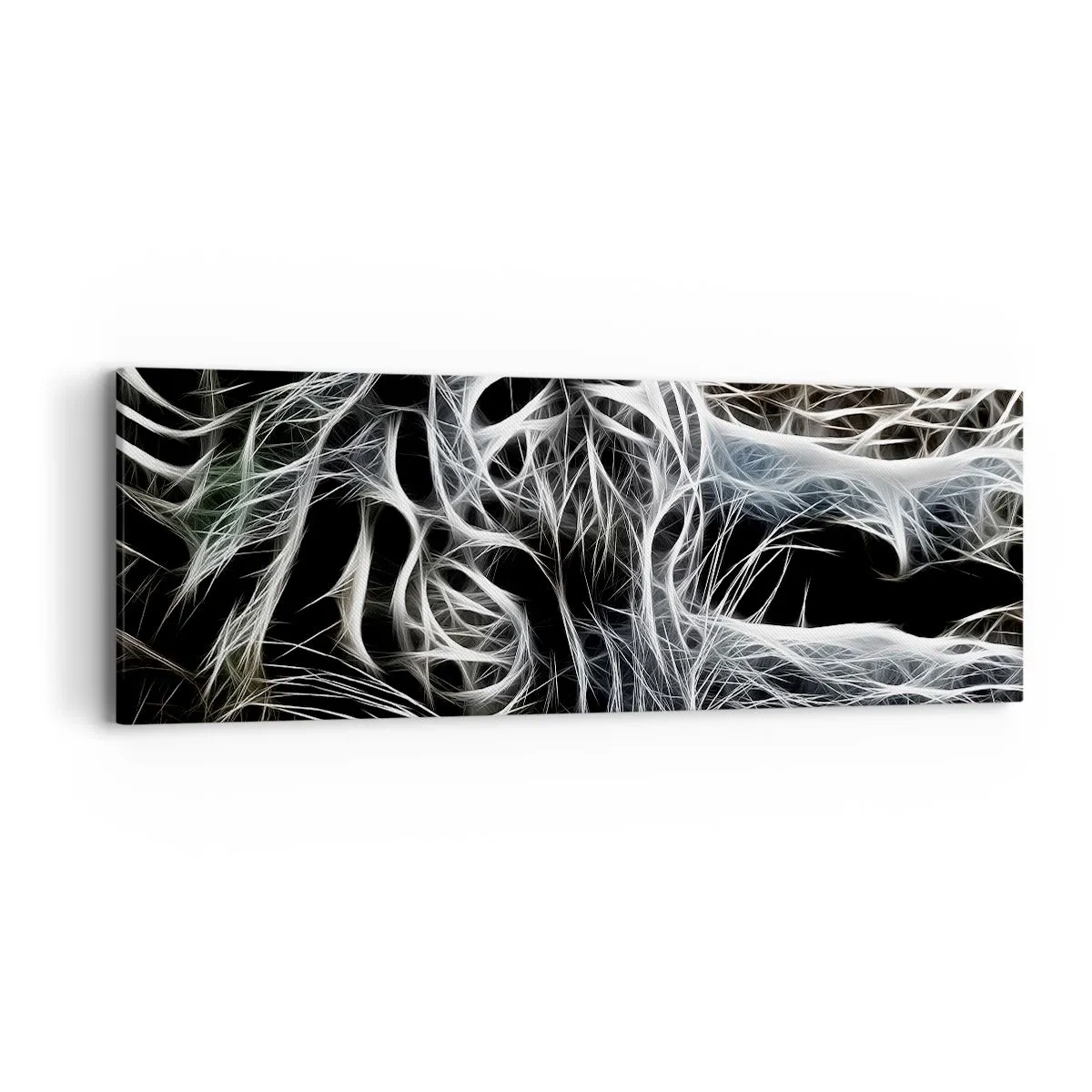 Impression sur toile - Image sur toile - Une étude de la légèreté du chat - 90x30 cm