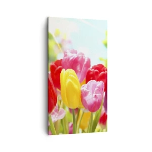 Impression sur toile - Image sur toile - C'est nous, les couleurs de Mai! - 45x80 cm