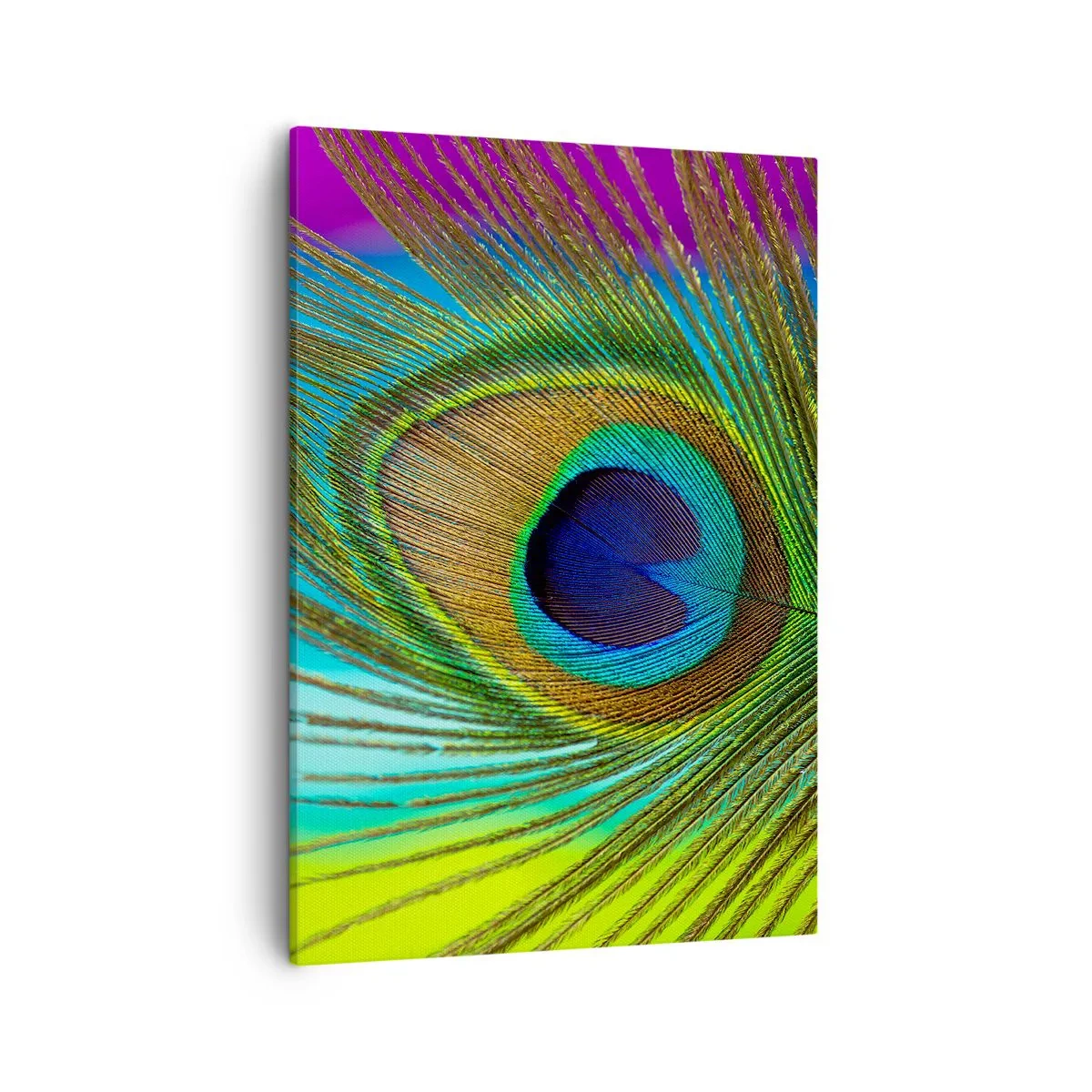 Impression sur toile - Image sur toile - Gros plan d'une plume de paon aux couleurs vives - 50x70cm - Les yeux dans les yeux - Décoration murale moderne pour le salon et la chambre ARTTOR