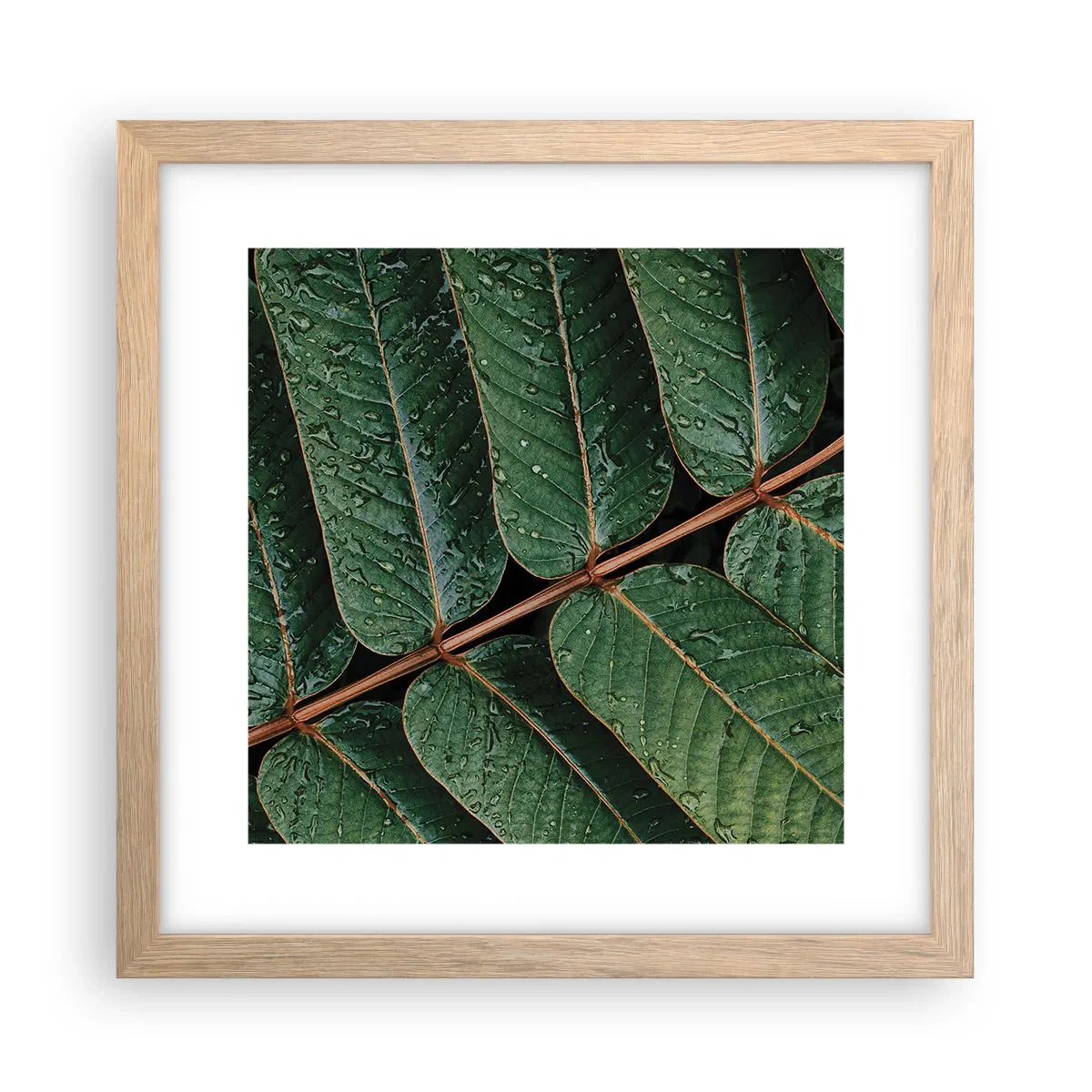 Affiche dans un chêne clair - Poster - Au rythme de la verdure - 30x30 cm