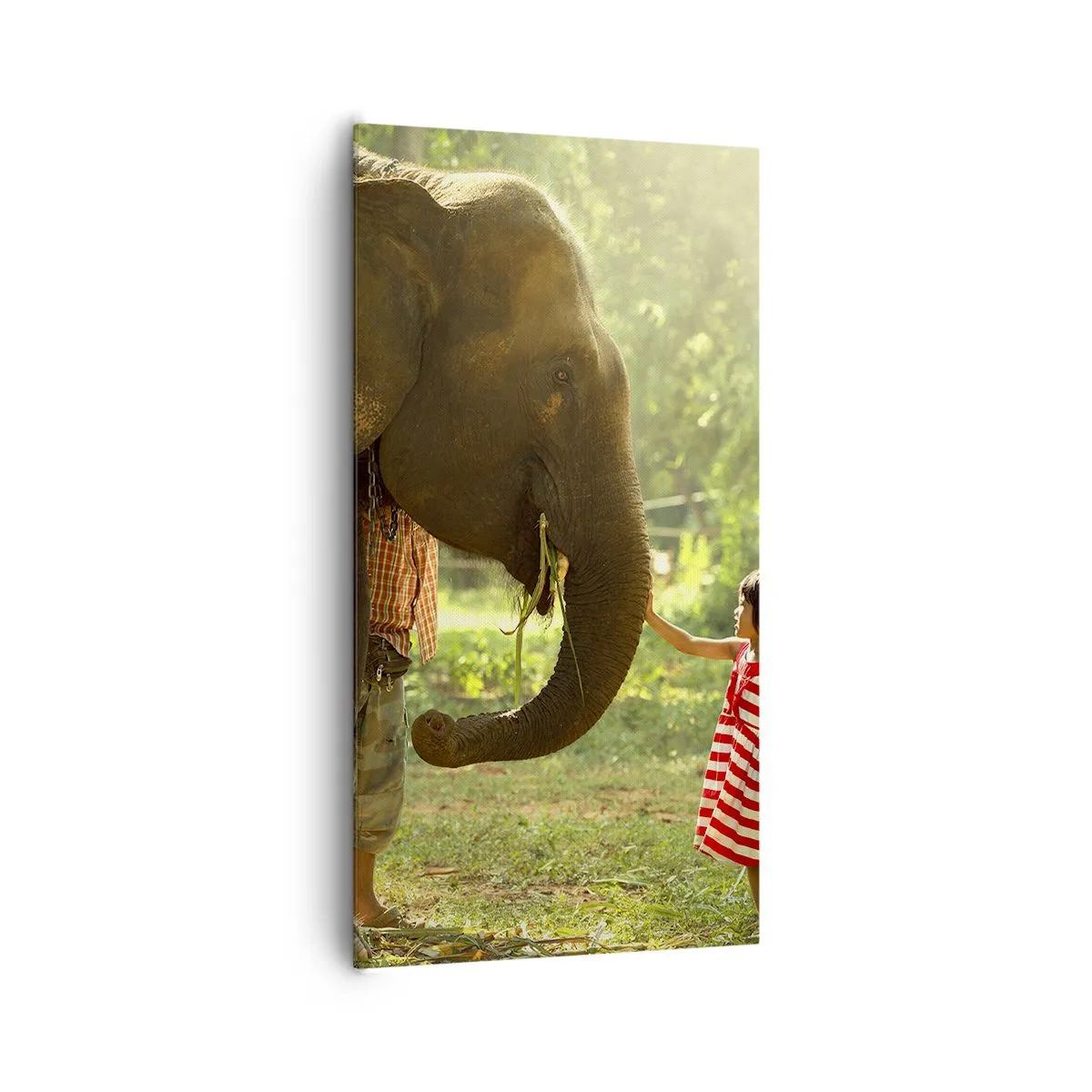 Impression sur toile - Image sur toile - La force de l'amitié - 65x120 cm