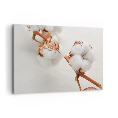 Impression sur toile - Image sur toile - Un brin de coton sur un fond subtil - 100x70cm - Seulement caliner - Décoration murale moderne pour le salon et la chambre ARTTOR