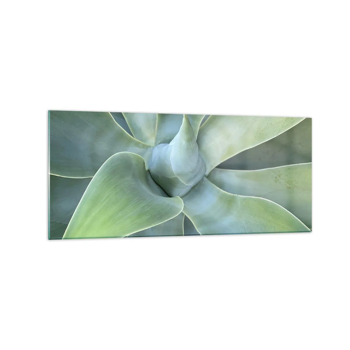 Impression sur verre - Image sur verre - Feuilles d'agave subtiles dans des tons verts - 120x50cm - La naissance de la verdure - Décoration murale moderne pour le salon et la chambre ARTTOR