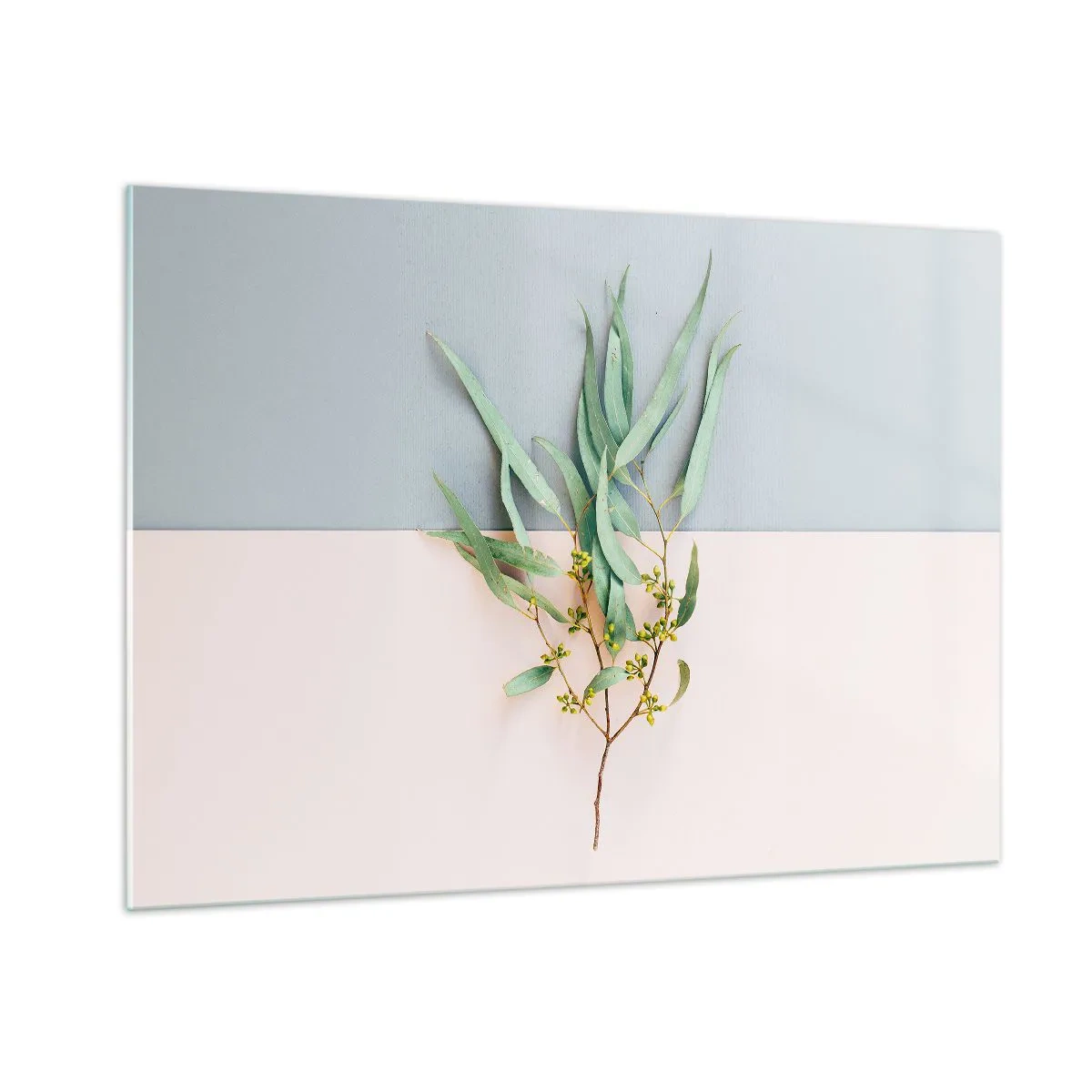 Impression sur verre - Image sur verre - Un brin d'eucalyptus sur fond pastel - 100x70cm - Subtilité pastel - Décoration murale moderne pour le salon et la chambre ARTTOR