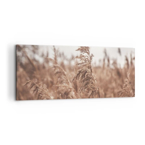 Impression sur toile - Image sur toile - C'est déjà l'automne dans les champs - 100x40 cm