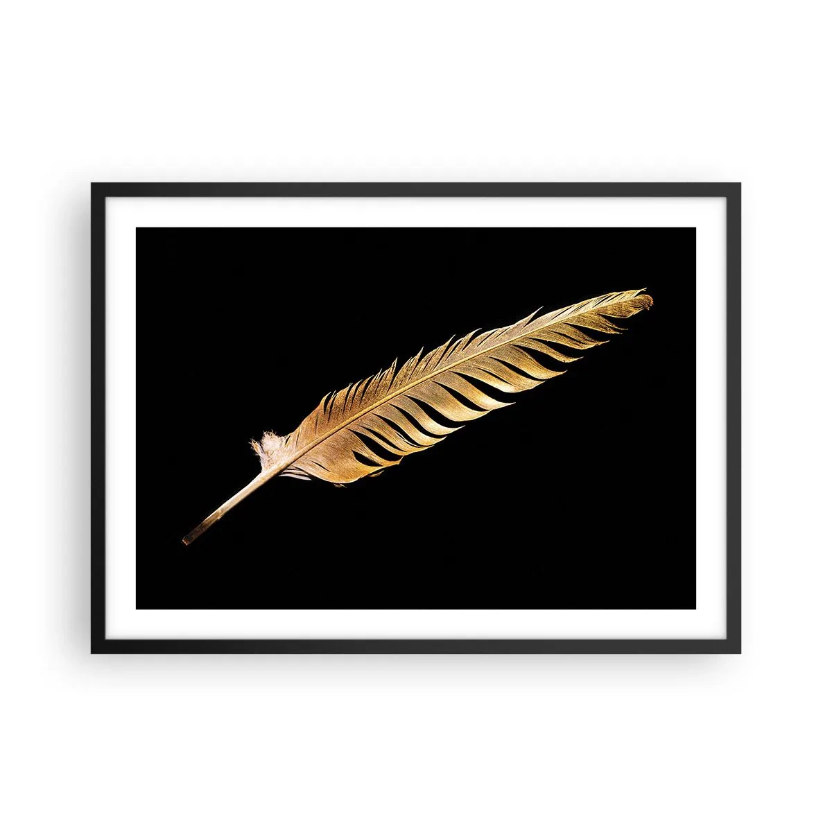 Affiche dans un cadre noir - Poster - Plume dorée sur fond noir - 70x50cm - Sans porte-plume - Décoration murale moderne pour le salon et la chambre ARTTOR
