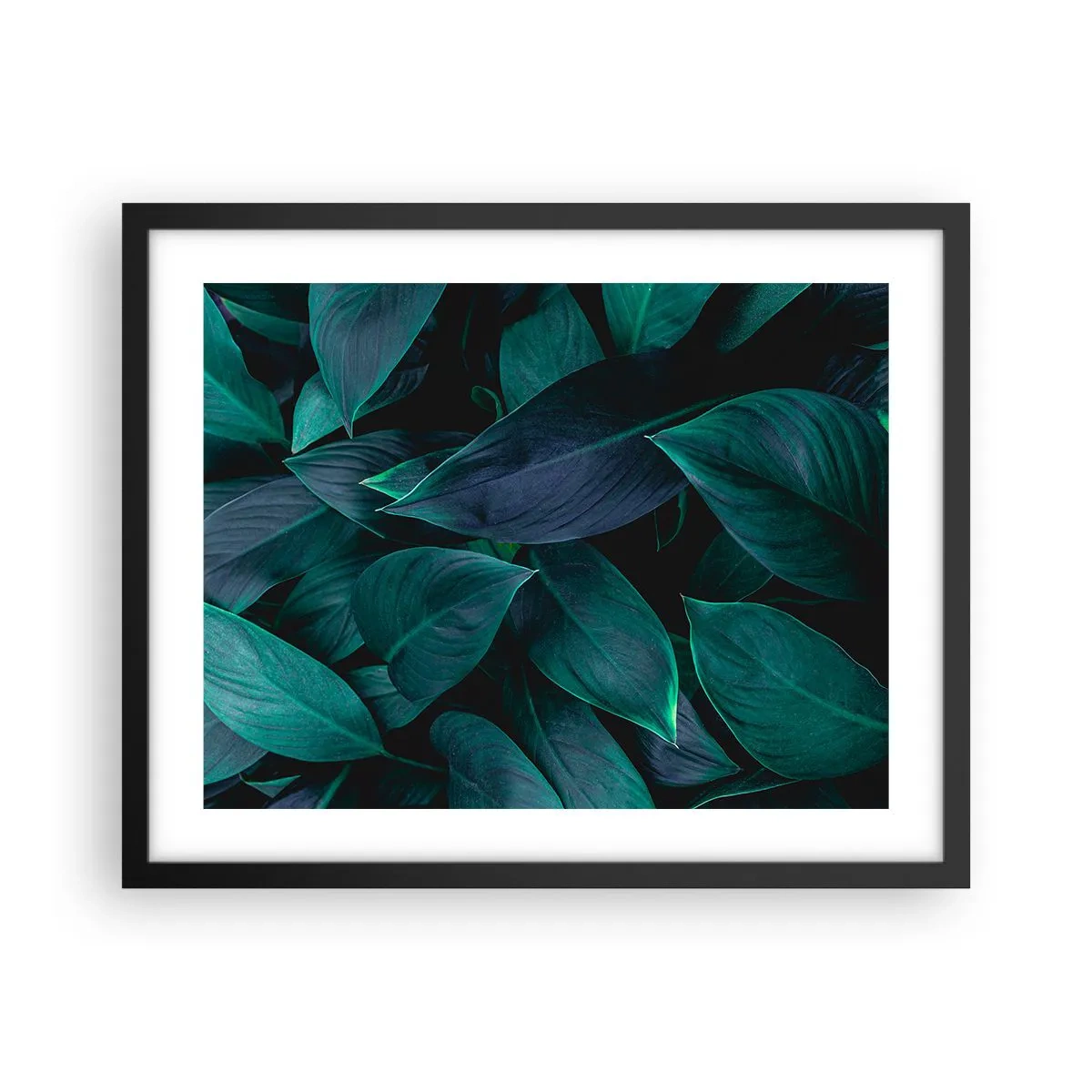 Affiche dans un cadre noir - Poster - le vert lui-même - 50x40 cm